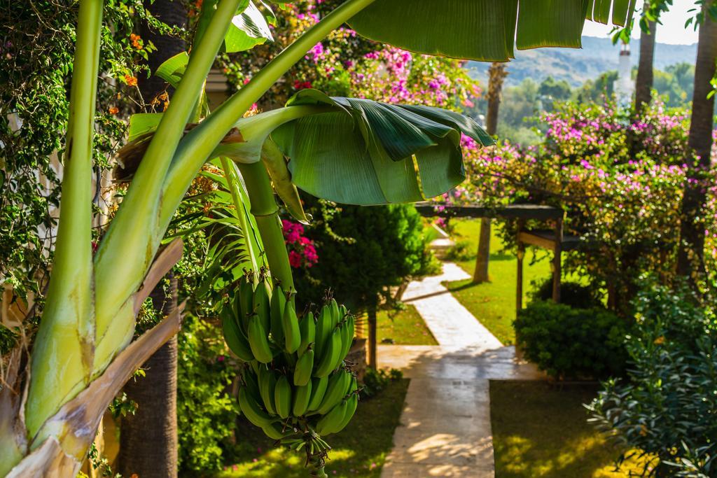 Pataros Hotel พาทารา ภายนอก รูปภาพ