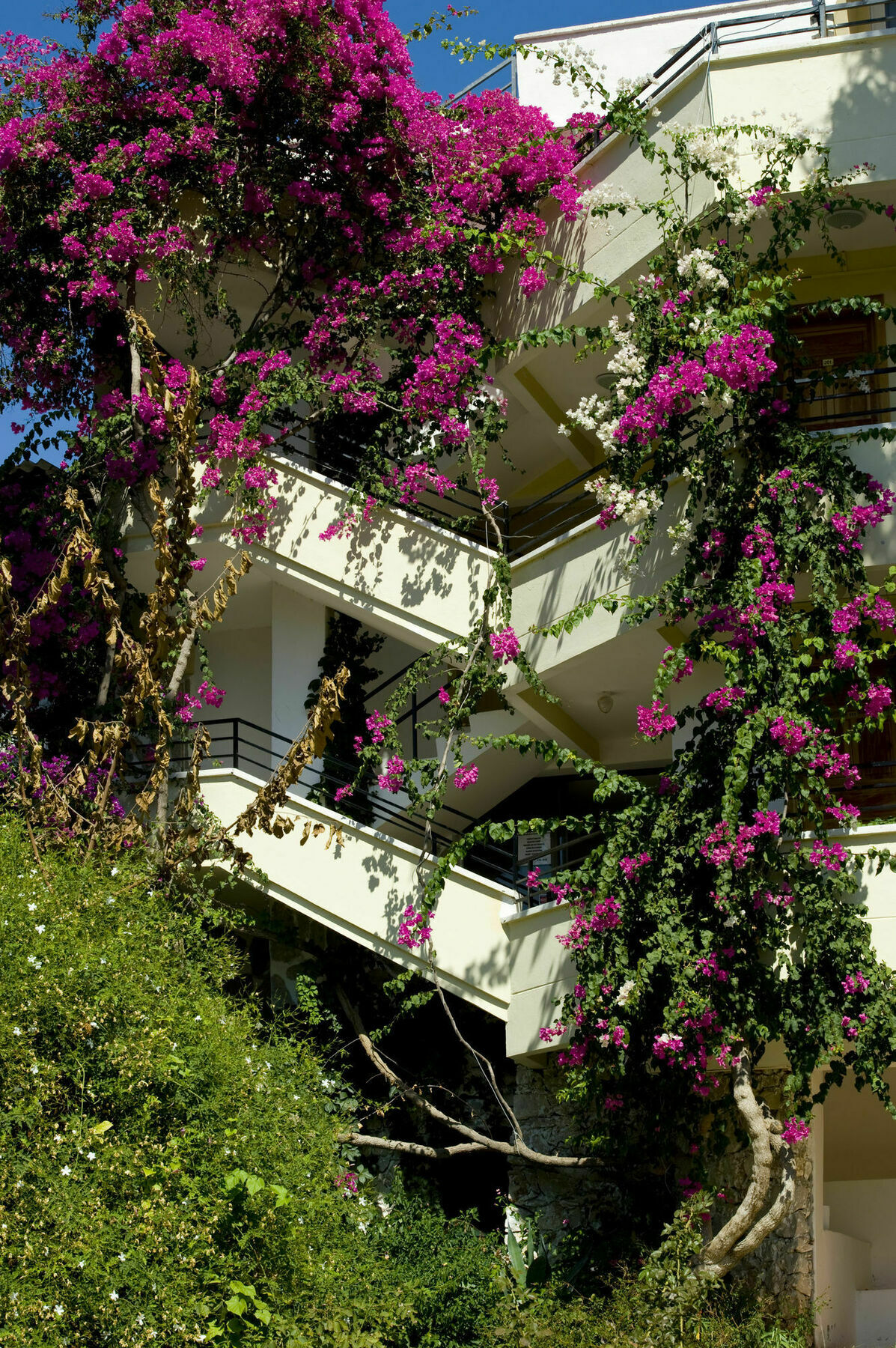 Pataros Hotel พาทารา ภายนอก รูปภาพ